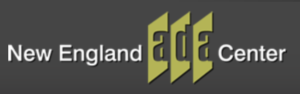 Logo for the New England ADA Center.  A grey rectangle with text in the middle. White text "New England", grey text "ADA" each letter of ADA is in a bright green vertical rectangle and then white text "Center".